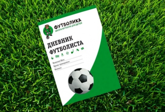 Создание Дневника футболиста